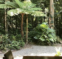 Forest Views Daintree - Whitsundays Accommodation