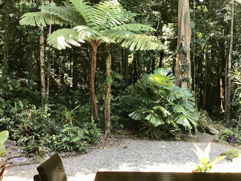 Forest Views Daintree - Whitsundays Accommodation 0