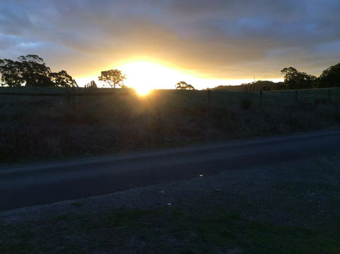 Forrest Willy Wagtail Studio - Whitsundays Accommodation 1