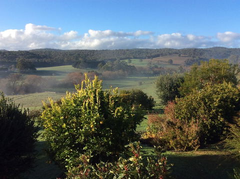 Forrest Willy Wagtail Studio - Whitsundays Accommodation 3