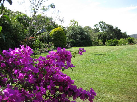 French Cottage & Loft - Whitsundays Accommodation 3