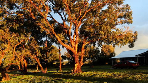 French Island Cottage - Whitsundays Accommodation 1