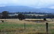 Friends In Harcourt North - thumb 2