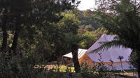 Book Zeehan Accommodation Vacations Whitsundays Accommodation Whitsundays Accommodation