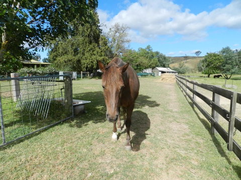 Glenfield Cottage - Whitsundays Accommodation 1