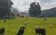 Glenmurray - Country Farm Stay! - thumb 0
