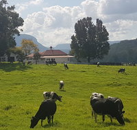 Glenmurray - Country farm stay - Whitsundays Accommodation