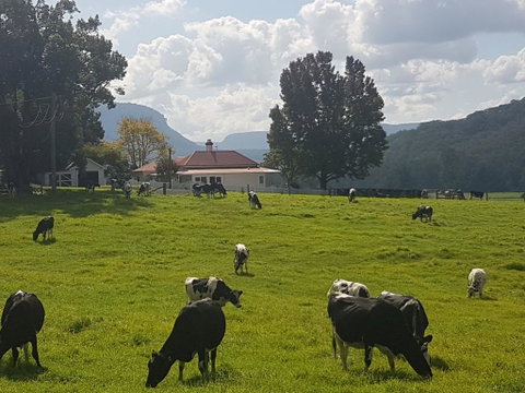 Glenmurray - Country Farm Stay! - Whitsundays Accommodation 0