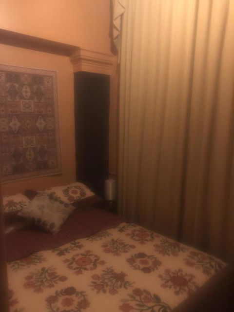 Globe Guesthouse - Whitsundays Accommodation 2