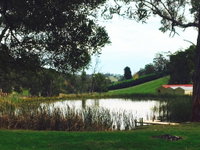 Gracefield Estate