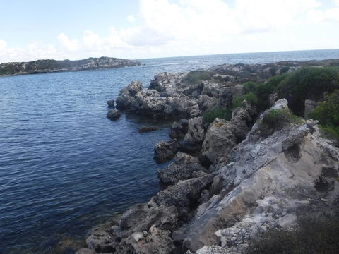 Green Head Caravan Park - Whitsundays Accommodation 0