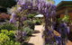 Gumtree House Montville - thumb 0