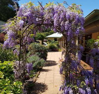 Gumtree House Montville - Whitsundays Accommodation