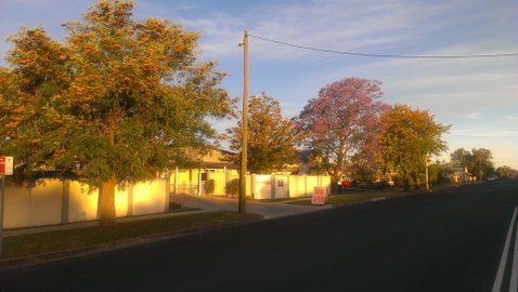 Gunnedah Lodge Motel - Whitsundays Accommodation 1