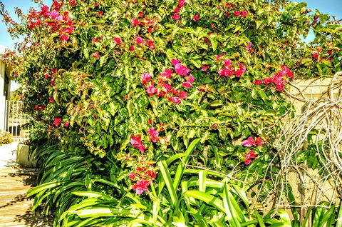 Halls Head Holiday Home - Whitsundays Accommodation 3