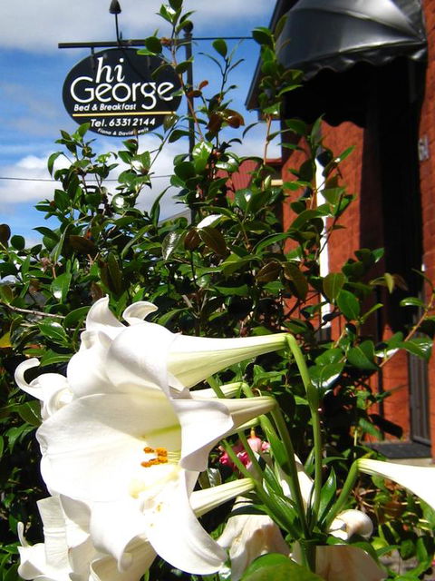 Hi George B&B - Whitsundays Accommodation 1