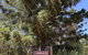Hillview Cottages - thumb 1