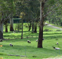 JAN'S ART STUDIO AT ASHBY RISE - Whitsundays Accommodation