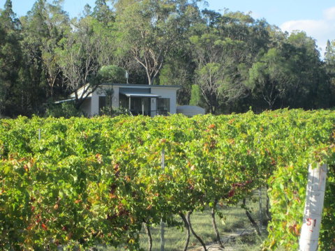 Just Red Wines Cabins - Whitsundays Accommodation 0