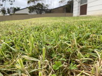 Book Karoonda Accommodation Vacations Whitsundays Accommodation Whitsundays Accommodation