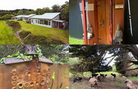 Book Kongwak Accommodation Vacations Whitsundays Accommodation Whitsundays Accommodation