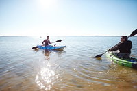 Book Lake Boga Accommodation Vacations Whitsundays Accommodation Whitsundays Accommodation