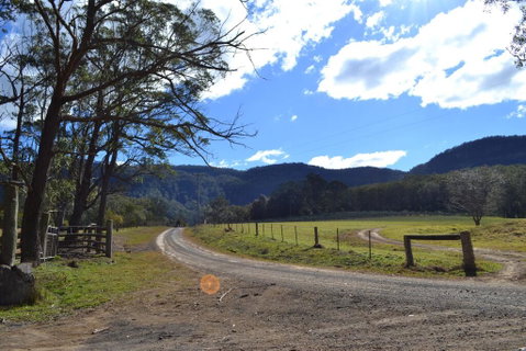 Lemon Tree Cottage - Bendeela - Whitsundays Accommodation 0