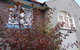 Lurline Villas - thumb 2