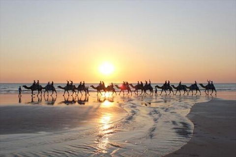 Luxury Executive Apartment At Broome Cable Beach - Whitsundays Accommodation 1