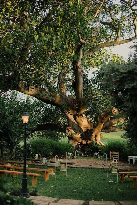 Maddies Of Bolwarra - Whitsundays Accommodation 3