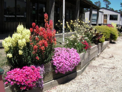 Mansfield Holiday Park - Whitsundays Accommodation 3