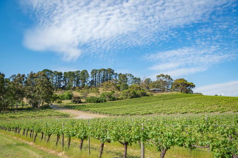 McLaren Vale Getaways - Whitsundays Accommodation 0