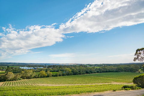 McLaren Vale Getaways - Whitsundays Accommodation 1