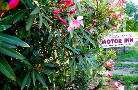 Mercury Motor Inn - Whitsundays Accommodation 0