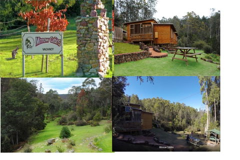 Minnow Cabins Lower Beulah - Whitsundays Accommodation 1
