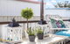 Morton Cottage At Lemon Tree - thumb 3
