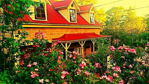 Mountain Escape - Whitsundays Accommodation 0