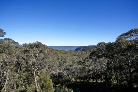 Narrow Neck Lodge - Whitsundays Accommodation 3