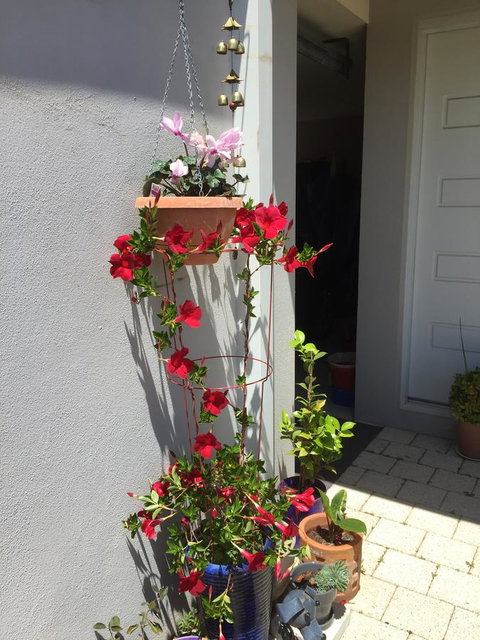 Lakeside Views - Whitsundays Accommodation 5