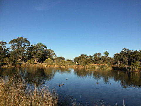 Lakeside Views - Whitsundays Accommodation 18