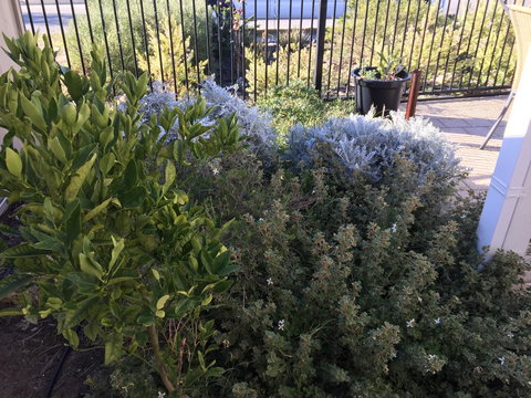 Lakeside Views - Whitsundays Accommodation 10