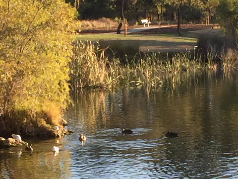 Lakeside Views - Whitsundays Accommodation 15