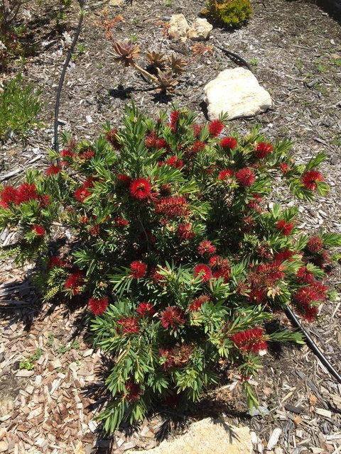 Lakeside Views - Whitsundays Accommodation 8