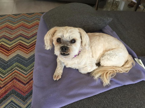 Lakeside Views - Whitsundays Accommodation 7