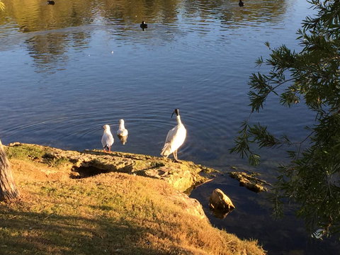 Lakeside Views - Whitsundays Accommodation 19