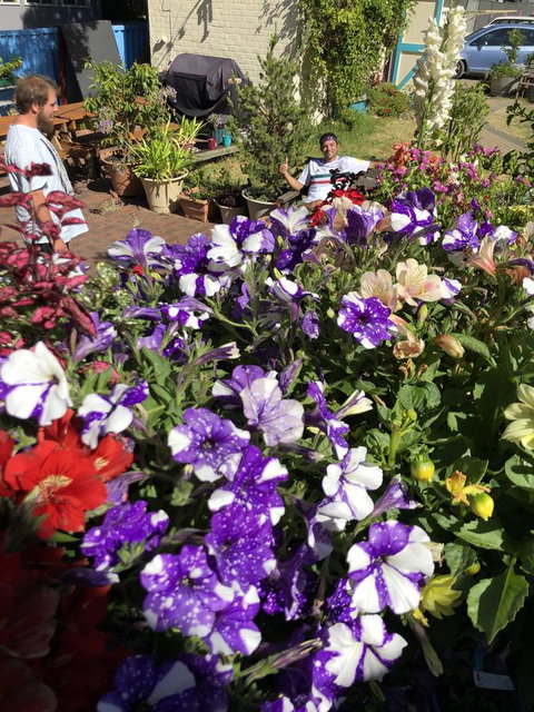 1849 Backpackers Albany - Whitsundays Accommodation 15