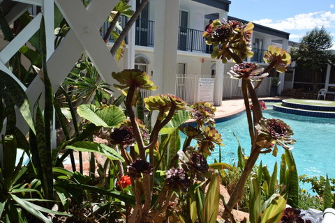 Seashore Memories - Sleeps 3 - Whitsundays Accommodation 14