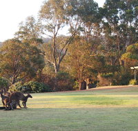 Riverside Retreat Chalets Walpole - Whitsundays Accommodation