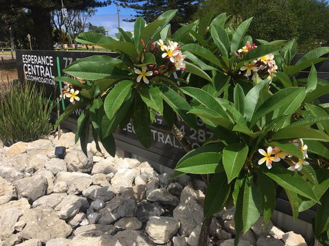 Esperance Central Accommodation - Whitsundays Accommodation 3