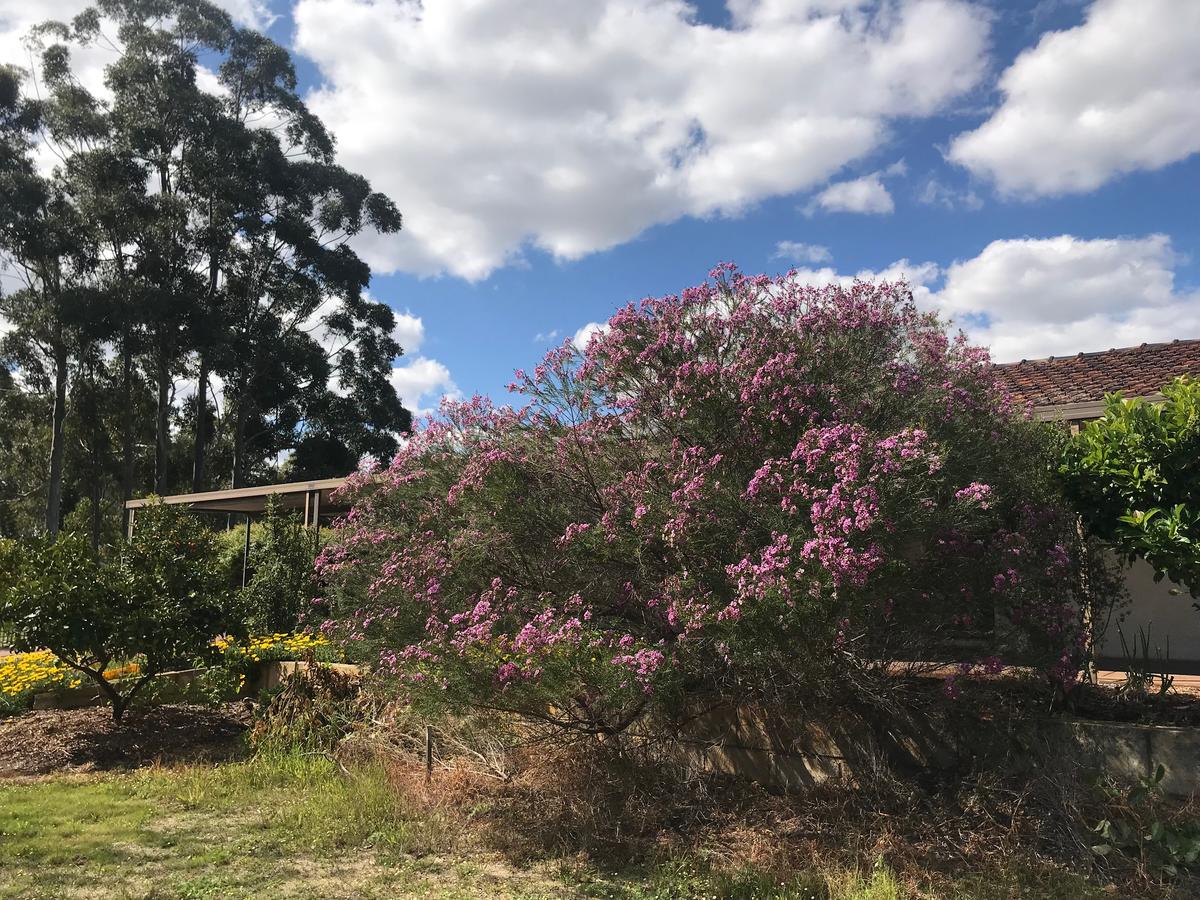 Aubin Grove WA Whitsundays Accommodation